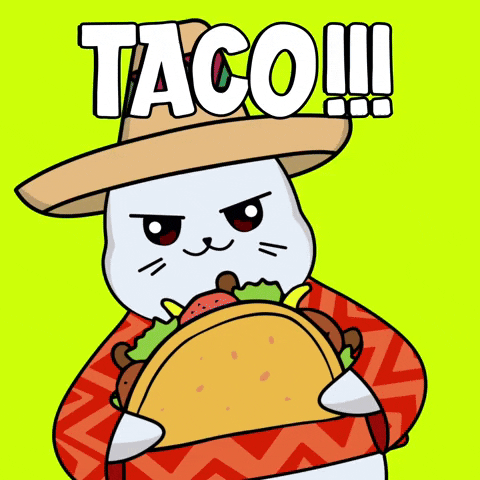 Good Morning Taco Tuesday Dancing Kitty GIF