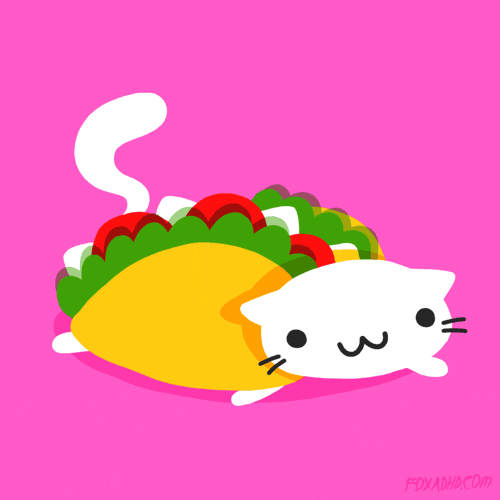 Good Morning Taco Tuesday Happy Cartoon Cat GIF