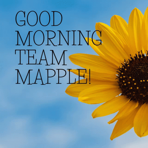 Good Morning Team Fresh Sunflower GIF