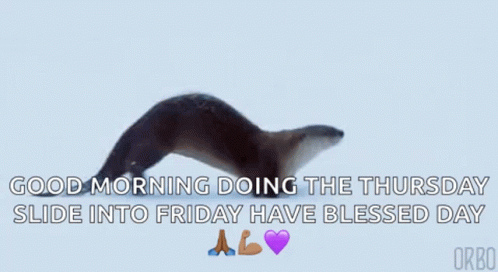 Good Morning Thursday Cute Otter Sliding GIF