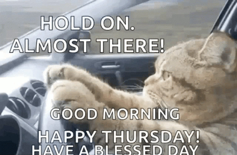 Good Morning Thursday Funny Hold On GIF