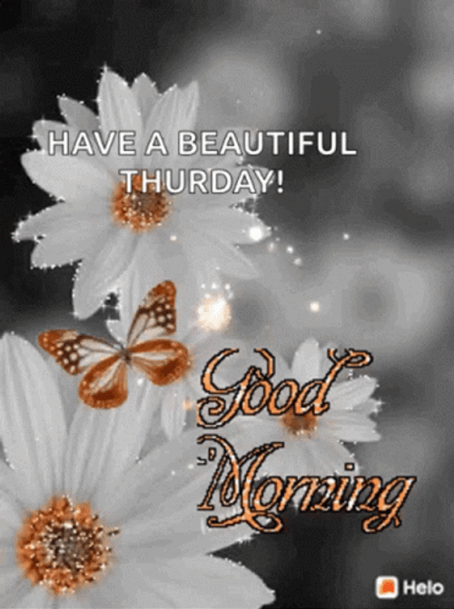 Good Morning Thursday Funny White Flower GIF