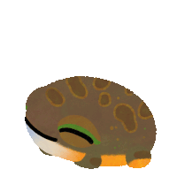 Good Morning Tree Frog Sticker GIF