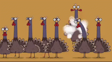 Good Morning Turkey Dance Party GIF