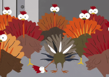 Good Morning Turkey Herd Scene GIF