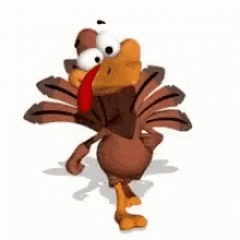 Good Morning Turkey Todd Walking GIF