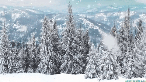 Good Morning Winter Snow At The Forrest GIF