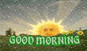 Good Morning Winter Sun Getting Snowed GIF
