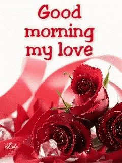 Good Morning With Red Roses And Ribbon GIF