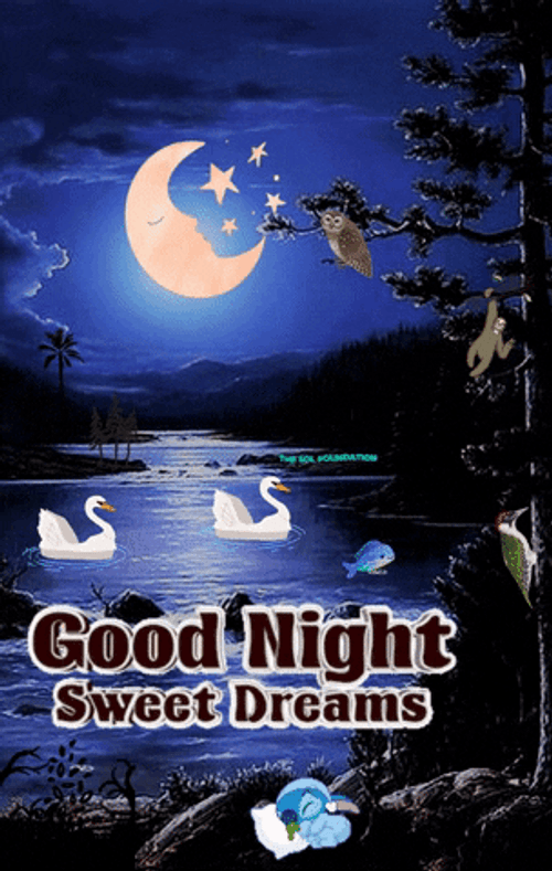Good Night And Sweet Dreams Peaceful Night GIF