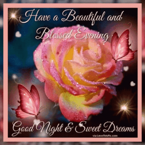 Good Night and Sweet Dreams Pink Rose Butterflies