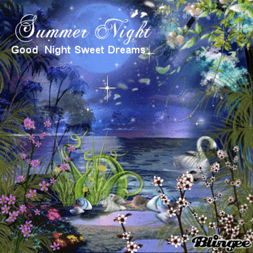 Good Night And Sweet Dreams Sparkling Summer Night GIF