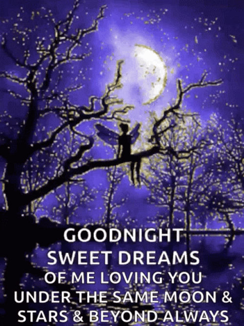 Good Night And Sweet Dreams Sparkling Tree Branches GIF