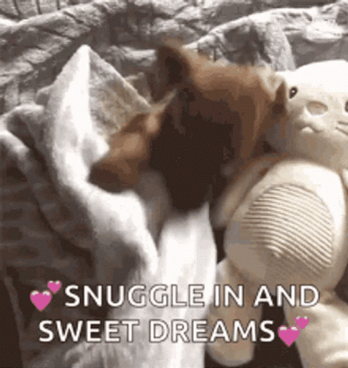 Good Night And Sweet Dreams Sweet Snuggling Dog GIF