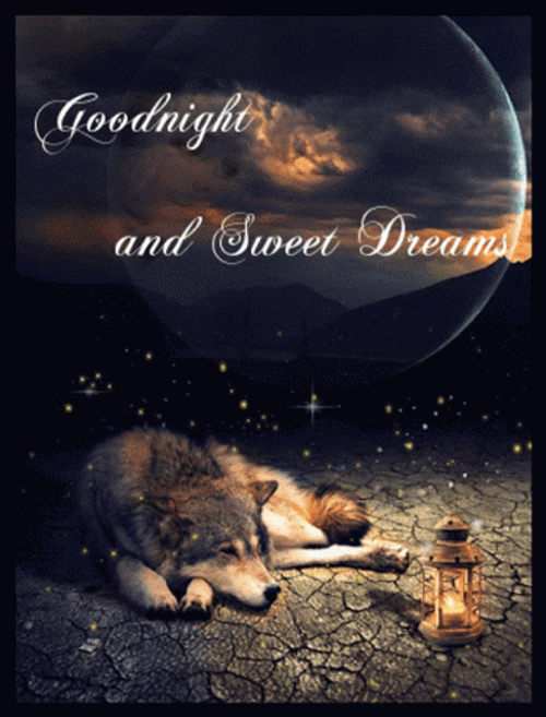 Good Night And Sweet Dreams Wolf And Moon GIF