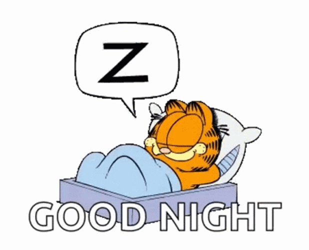Good Night Animated Garfield Sleeping GIF