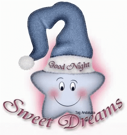 Good Night Animated Nightcap Star GIF