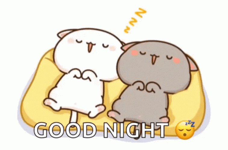 Good Night Animated Peach Cat Couple GIF 