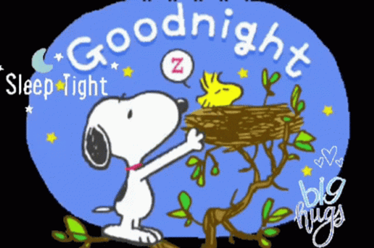 Good Night Animated Snoopy GIF
