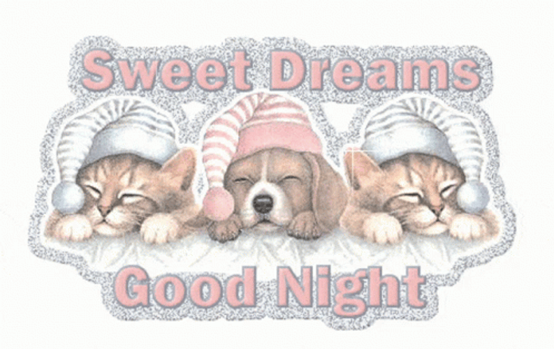Good Night Animated Sweet Dreams GIF 