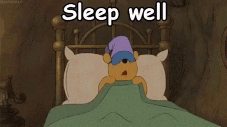 Good Night Animated Winnie Sleeping GIF