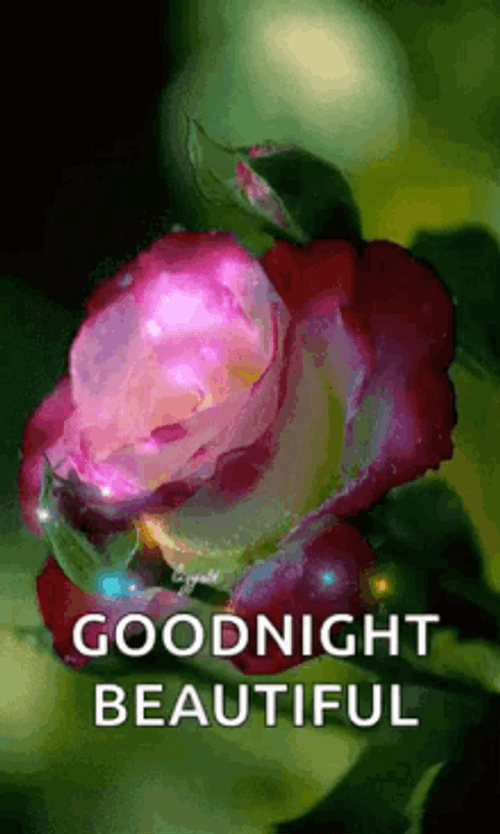 Good Night Beautiful Magical Flowers With Sparkles GIF