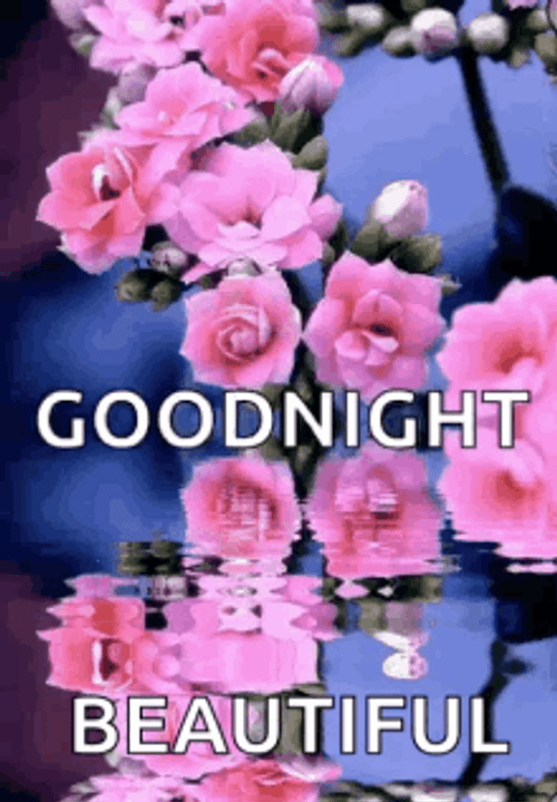 Good Night Beautiful Pink Flowers With Reflection GIF