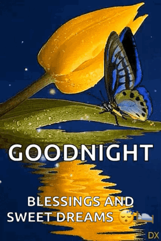 Good Night Blessings And Sweet Dreams Dear GIF