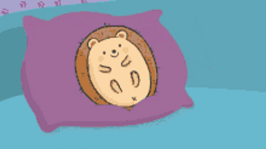 Good Night Cute Baby Hedgehog Cover Blanket GIF
