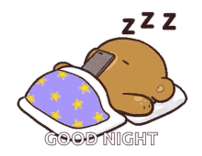 Good Night Cute Bear Mocha Sleep Phone Face GIF