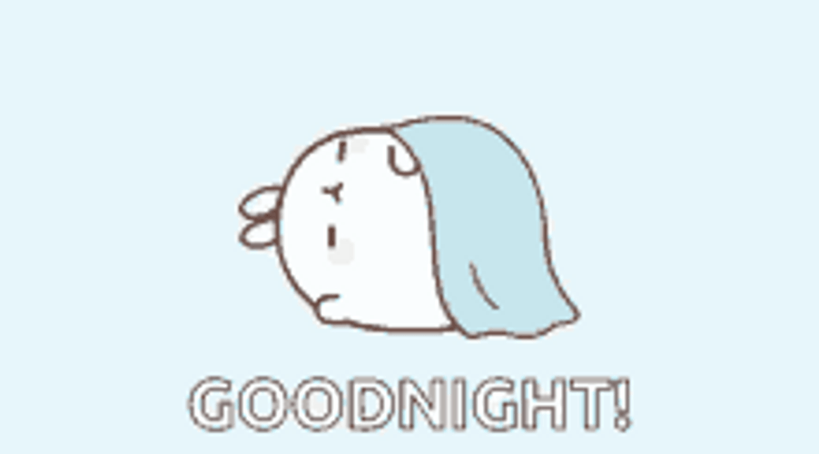 Good Night Cute Bunny Blanket Cover Sleep GIF