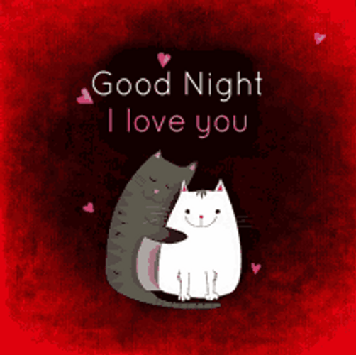 Good Night Cute Cats Couple I Love You GIF 