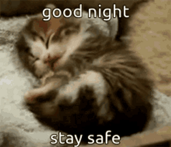 Good Night Cute Yawning Cat Kitten GIF