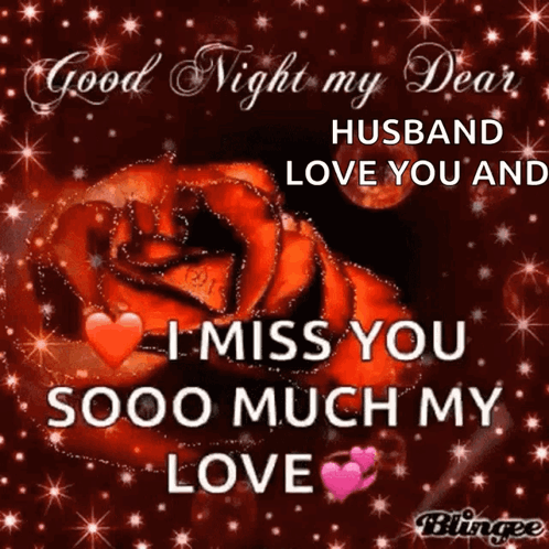 Good Night Dear Husband Miss You GIF