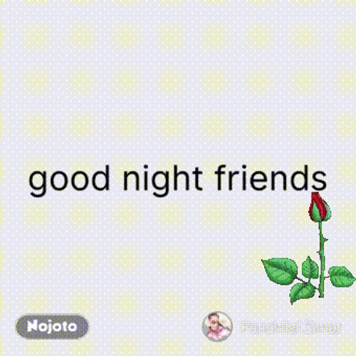 Good Night Friends Blooming Flower Visual Art GIF
