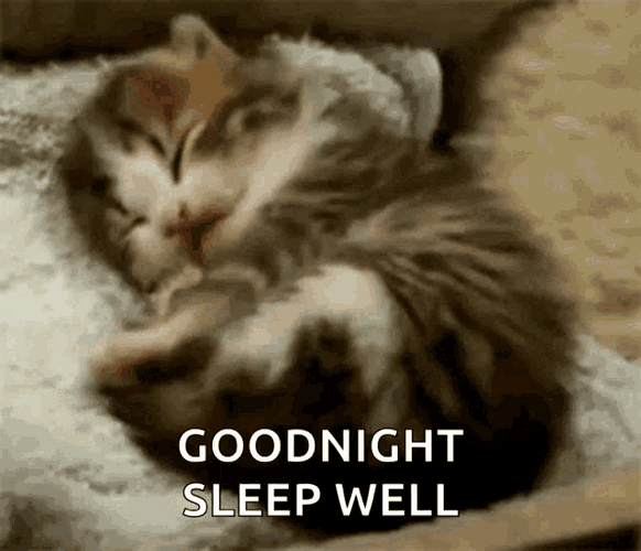 Good Night Funny Yawning Kitten GIF