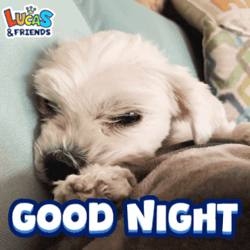 Good Night Good Night Dog Gif GIF
