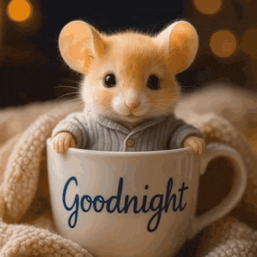 Good Night Goodnight Gif GIF