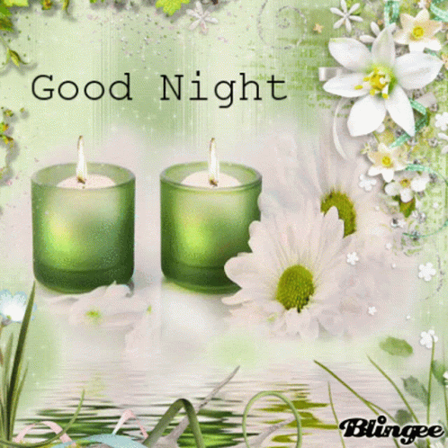 Good Night Greeting Card With Two Green Candles And Flowers GIF