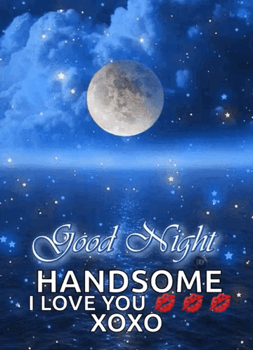 Good Night Handsome I Love You Xoxo GIF