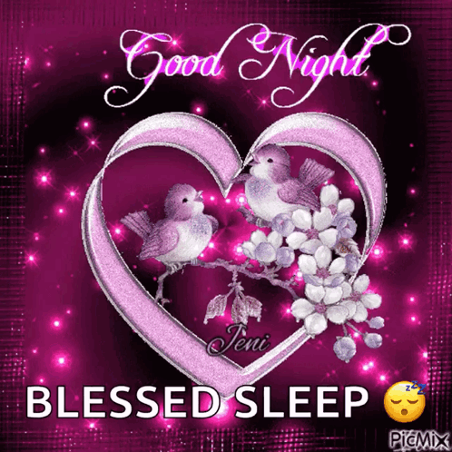 Good Night Have Blessed Sleep Ahead GIF