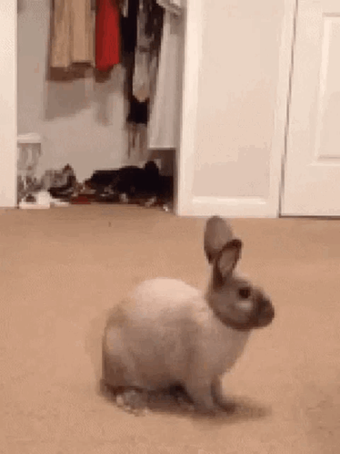 Good Night I Love You Sweet Dreams GIF