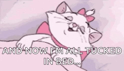 Good Night Kitty Gif GIF