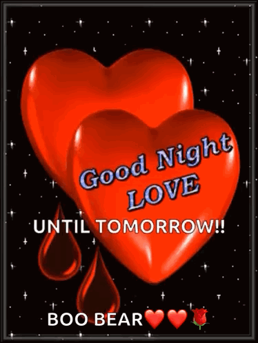 Good Night Love Until Tomorrow Boo Bear