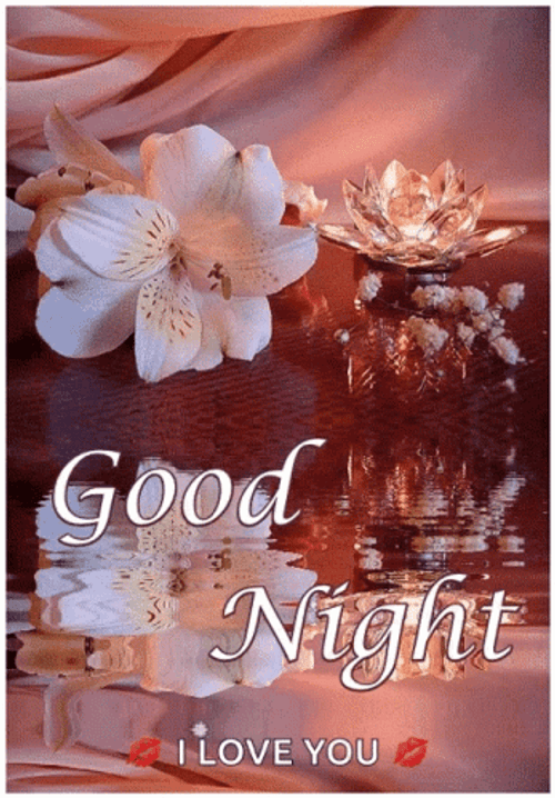 Good Night Love You Aesthetic Flower Candle Water GIF