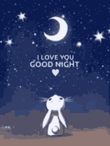 Good Night Love You Animated Bunny Looking Stars GIF Good Night Love You Animated Bunny Looking Stars GIF