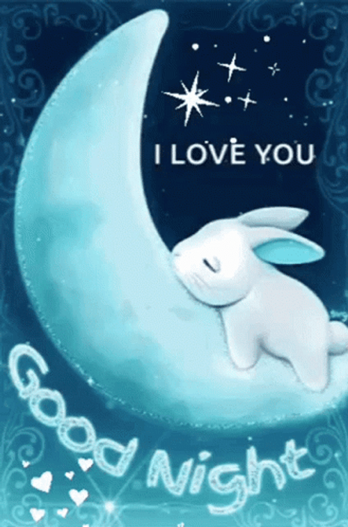 Good Night Love You Animated Bunny Sleeping Moon GIF