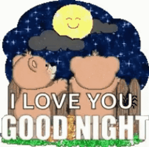 Good Night Love You Bears Looking Moon Sparkle GIF 
