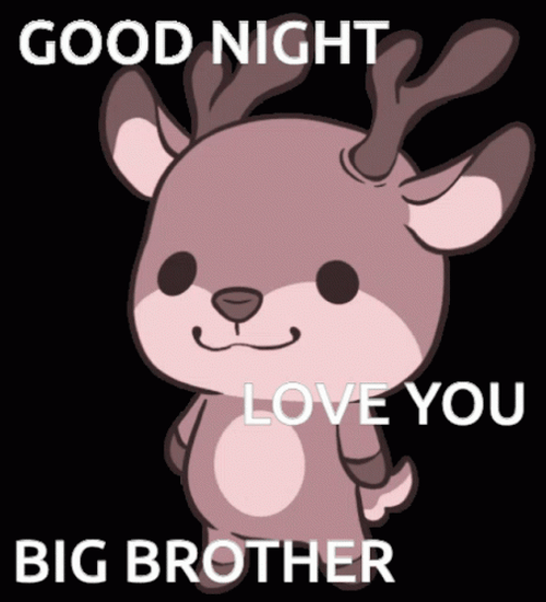 Good Night Love You Big Brother Dear Dance GIF