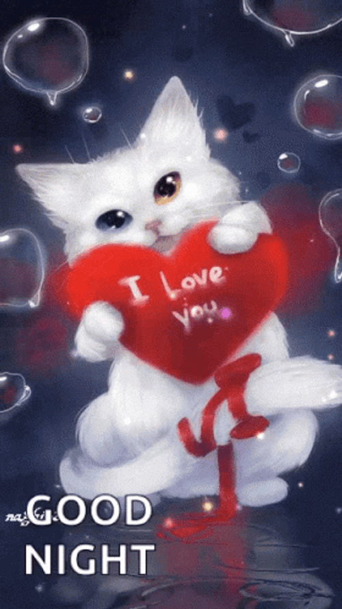 Good Night Love You Cat Heart Water Bubbles GIF
